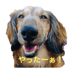 saori_20211015232025