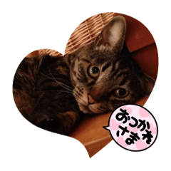 momoko_20211016004045