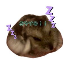 yk_20211016003810
