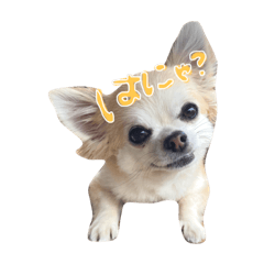 rina_20211016014206