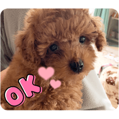 Yuka_20211016082932