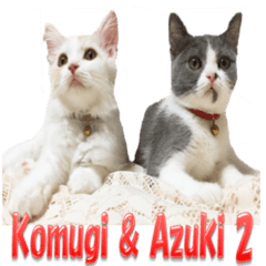 Komugi & Azuki 2