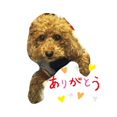 AKIKO_20211016113641