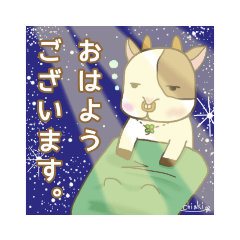 おうし座のうーちゃん