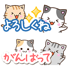Reply of cats4