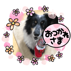 Mayumi_20211016155656