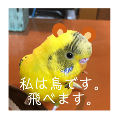 RINA_20211016165432