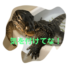 SAYA_20211016213348