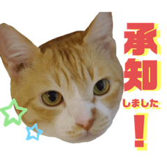 natsumi_20211016214938