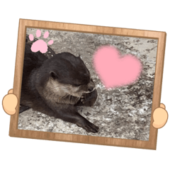 suzu_20211016215726