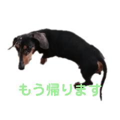 chihiro_20211017095050