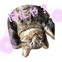 Kinaco_Latte20211017