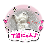 makiko_20211017113346