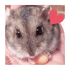 naronchan_20211016200222