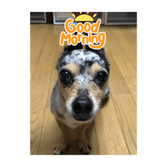 yuka_20211016222044