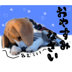 Sticker.Beagle