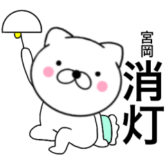 Name cat Miyaoka