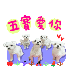 蔡の寶の家的日常生活 1