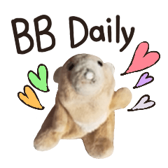 BB Bear daily