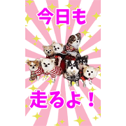 CHIWAWANZ Sticker