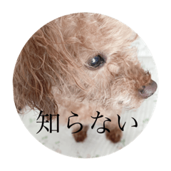 HIKARU_20211017000131