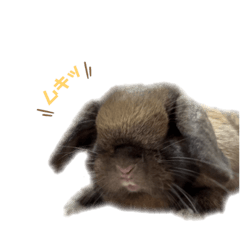 ayumi_20211017043929