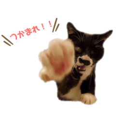 ayumi_20211017062753