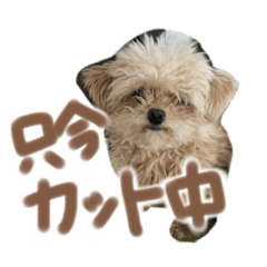 nanami_20211017090402