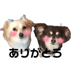 miki_20211017152855