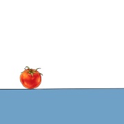 tomato's big runaway.