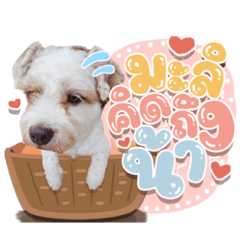 Iamnook_20211017093141