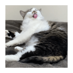 soooooooou_