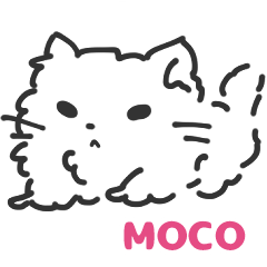 Mizukami's cat: moco