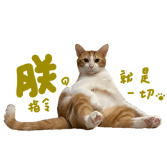橘子尬本丸可愛日常1 .feat 曾I8
