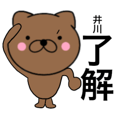 Name cat Igawa