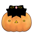 Owl Black Cat Halloween 2