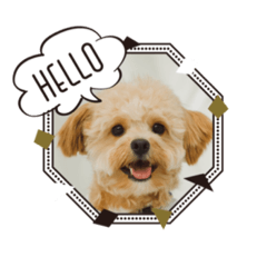 matsu_20211017193444