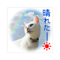 hana_20211017180904