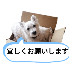 tomomi_20211017182241