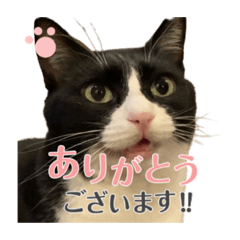 tono_20211017201433