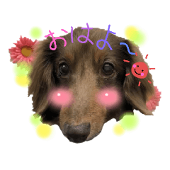 ChocoLoveSTAMP