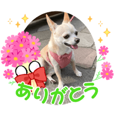 konatsu_20211017230242