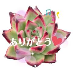 Saori_20211017233325