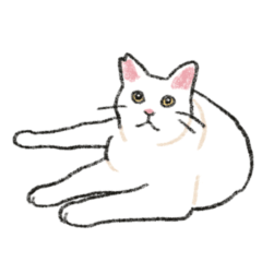 White cat SHIROPI