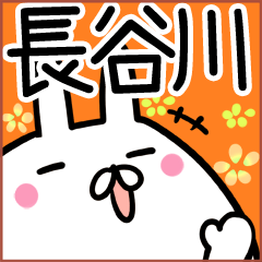 Hasegawa rabbit namae Sticker