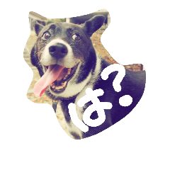 80KURO