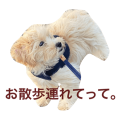 kinaco_20211018103539