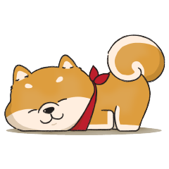 Shi-pom, the naughty little dog