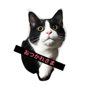 mimiruka