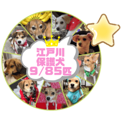 Rescued Dogs "Edogawa 9/85" vol.02